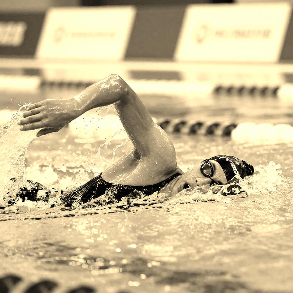 LA28 đảo lịch bơi và điền kinh: đường bơi Olympic nằm trong một sân bóng bầu dục